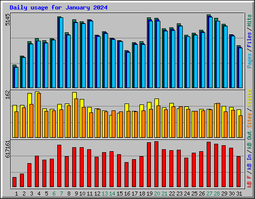 Daily usage for January 2024