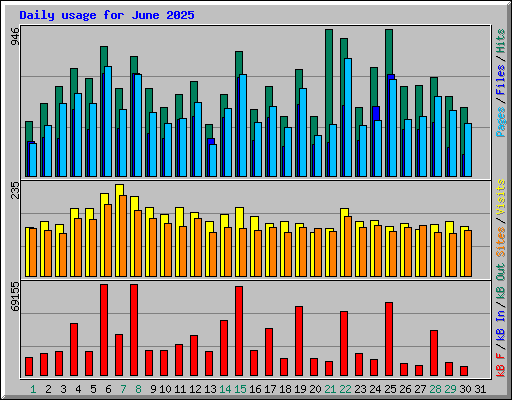 Daily usage for June 2025