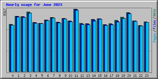 Hourly usage for June 2023