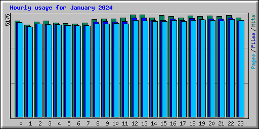 Hourly usage for January 2024