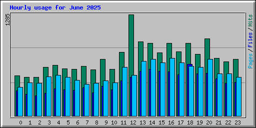 Hourly usage for June 2025